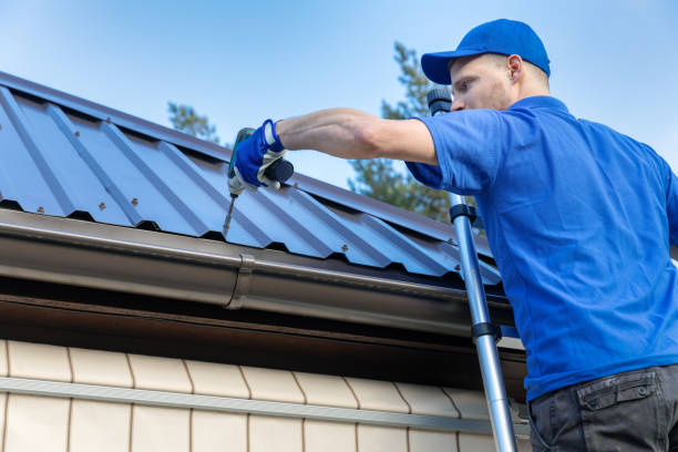 Best Roof Maintenance and Cleaning  in South Boston, VA