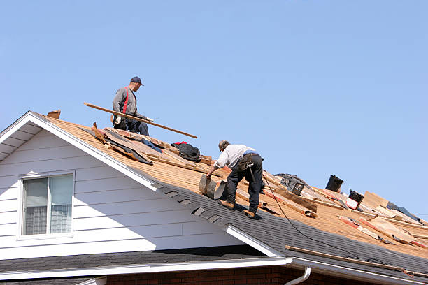 Best Wood Shake Roofing  in South Boston, VA